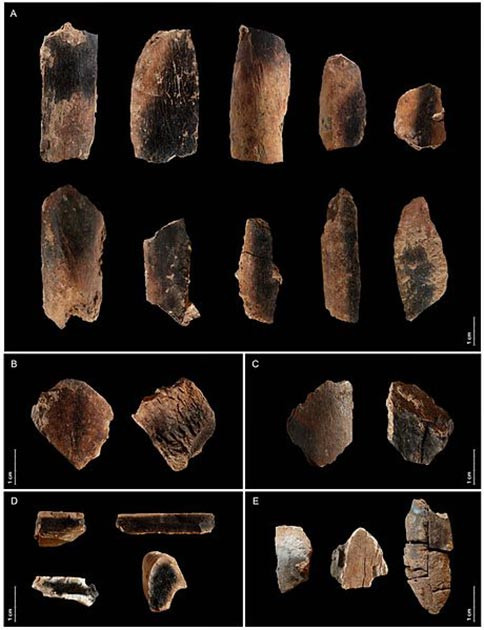 Các chuyên gia cũng phát hiện xương bọc da có thể chịu được 9 tuần phơi nhiễm trong mùa thu mà không làm mất đi một lượng giá trị dinh dưỡng đáng kể nào. Thế nhưng, chất béo trong xương sẽ bị suy giảm sau tuần thứ 3 trong điều kiện thời tiết mùa xuân và trong nhà.