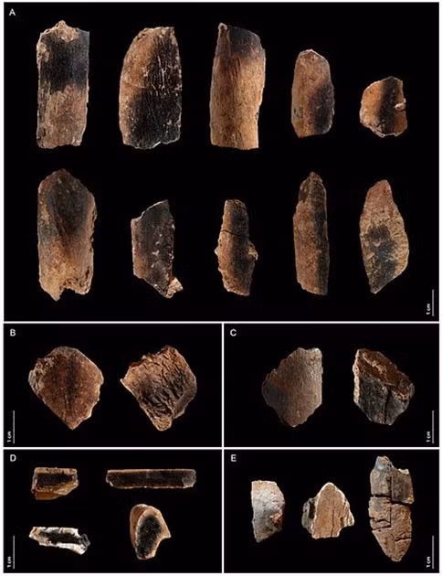 Các chuyên gia cũng phát hiện xương bọc da có thể chịu được 9 tuần phơi nhiễm trong mùa thu mà không làm mất đi một lượng giá trị dinh dưỡng đáng kể nào. Thế nhưng, chất béo trong xương sẽ bị suy giảm sau tuần thứ 3 trong điều kiện thời tiết mùa xuân và trong nhà.