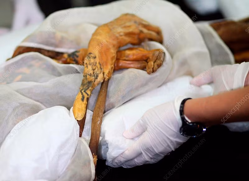 Dịch Covid-19 bùng phát ở nhiều nước trên thế giới với hơn 2,4 triệu người nhiễm bệnh. Điều bất ngờ là vùng Altai ở phía nam Siberia là vùng duy nhất ở Nga chưa ghi nhận ca nhiễm Covid-19 nào. Người dân ở vùng Altai tin rằng xác ướp công chúa Altai đã bảo vệ, giúp nơi đây miễn nhiễm với dịch Covid-19.