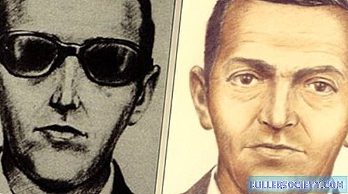 Địa điểm tên không tặc Cooper nhảy dù xuống và "bốc hơi" được xác định là khu rừng Tây Bắc Thái Bình Dương.