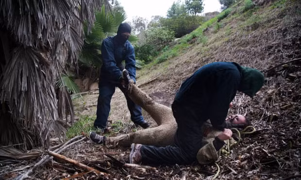 Theo đó, cảnh sát nhận được không ít cuộc gọi phàn nàn của người dân về những âm thanh rùng rợn phát ra từ căn nhà của Russ. Có lần, khi cảnh sát tới nơi, họ bắt gặp cảnh tượng có người bị trói và nhốt sau một xe tải gần ngôi nhà.