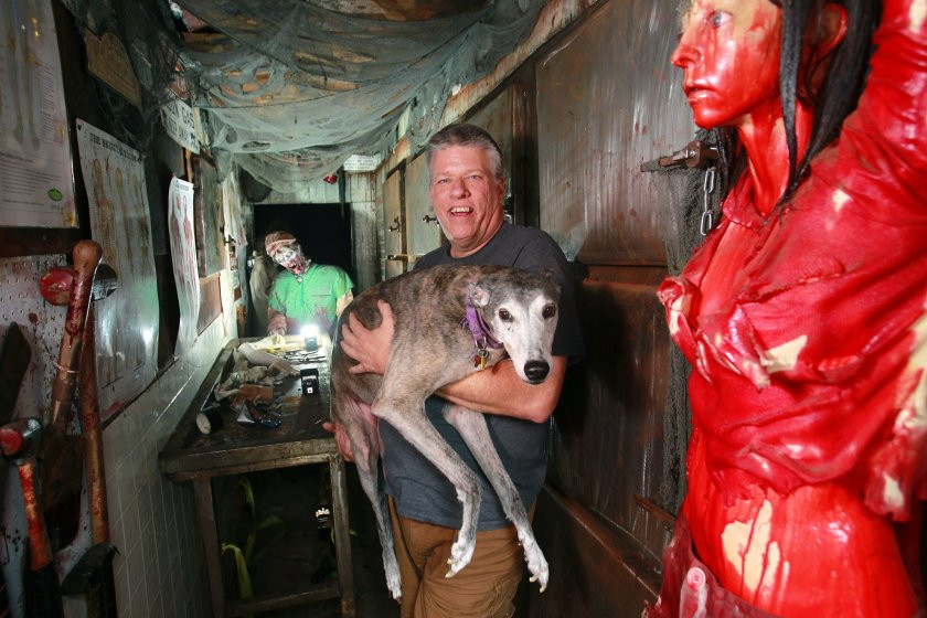 Tiếng ha hét thất thang của các du khách khiến người dân địa phương cứ ngỡ xảy ra án mạng hay vụ bắt cóc, tra tấn tại ngôi nhà McKamey Manor.