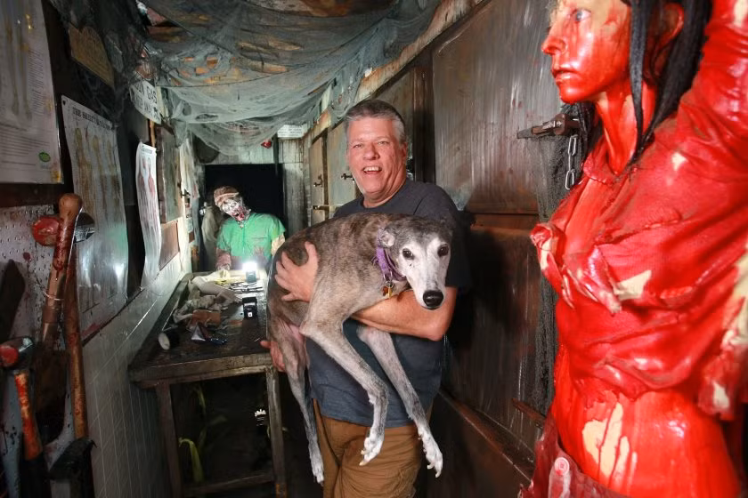 Tiếng ha hét thất thang của các du khách khiến người dân địa phương cứ ngỡ xảy ra án mạng hay vụ bắt cóc, tra tấn tại ngôi nhà McKamey Manor.