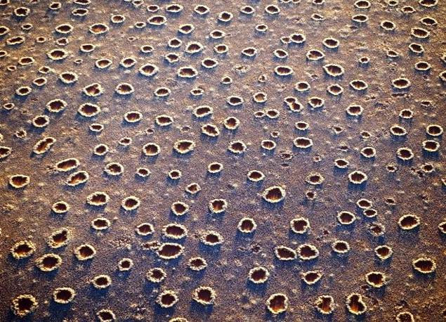 Những ô tròn khổng lồ nằm san sát nhau trên đồng cỏ khô cằn thuộc phía Tây của đất nước Nam Phi. Chúng có đường kính từ 2 - 15 m. Các nhà khoa học hiện chưa thể giải mã đây là hiện tượng gì.