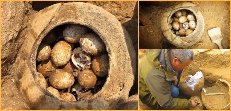 Việc tự tay làm hỏng một cổ vật có niên đại hàng nghìn năm tuổi khiến nhà khảo cổ bị coi là "tội nhân thiên cổ".