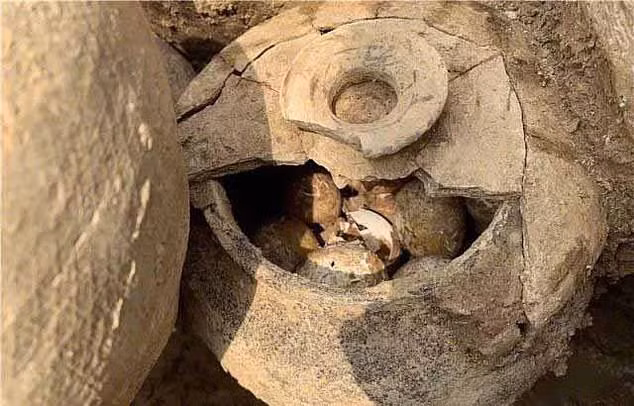 Bên trong ngôi mộ có một vại trứng có nắp đậy. Các chuyên gia cho rằng, khoảng 20 quả trứng chưa bị vỡ trong vại có niên đại hơn hai thiên niên kỷ trước vào thời Xuân Thu (từ năm 770 - 476 trước công nguyên). Những quả trứng được chôn trong ngôi mộ từ 2.500 năm trước có kích thước tương tự như trứng tự nhiên hiện nay.
