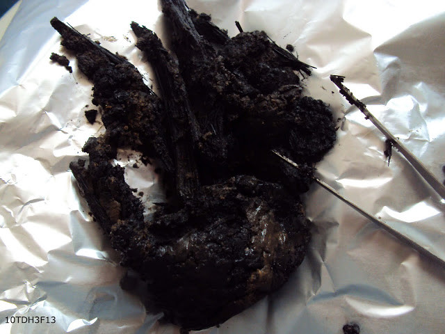 Vào năm 1983, Chuyên ban khảo cổ, Khoa Lịch sử Trường Đại học Tổng hợp Hà Nội đã đào thám sát 2m2 và khai quật 50m2 tại khu vực khảo cổ di chỉ thành Dền.