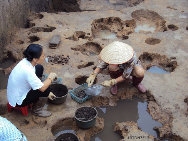 Với số lượng lớn các hiện vật được tìm thấy trong thời gian qua, các nhà nghiên cứu nhận định di chỉ Thành Dền có độ dày tầng văn hóa trên dưới 1m, có nhiều yếu tố mang tính chất chuyển tiếp từ văn hóa Phùng Nguyên lên văn hóa Đồng Đậu và từ văn hóa Đồng Đậu lên văn hóa Gò Mun.