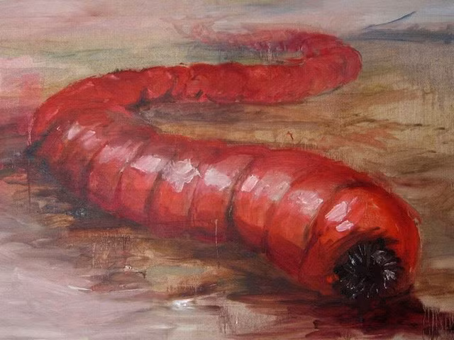 Toàn thân quái vật sa mạc có một màu đỏ sẫm. Do vậy, mỗi khi xuất hiện, sâu tử thần vô cùng nổi bật so với môi trường xung quanh.