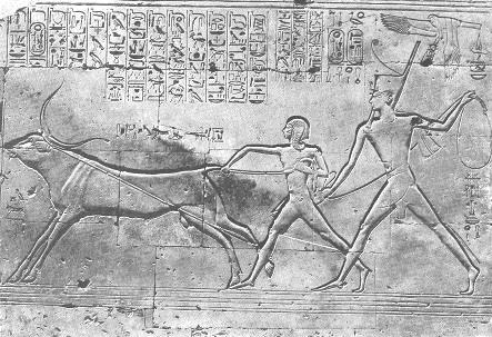 Theo các chuyên gia, Abydos là một địa điểm linh thiêng trong đời sống tâm linh của người Ai Cập thời cổ đại. Nơi đây được cho là nơi thần Osiris quyền lực được mai táng.