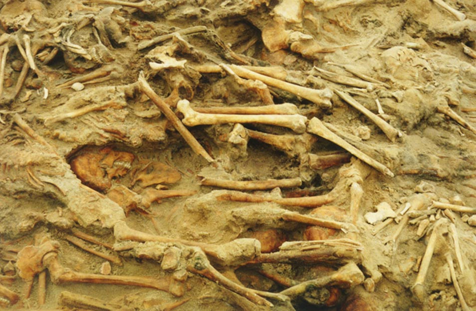 Vào năm 2015, các nhà khảo cổ phát hiện ngôi mộ tập thể tại Vilnius, Lithuania chứa hài cốt của hơn 3.000 binh sĩ dưới thời hoàng đế Napoleon của Pháp.