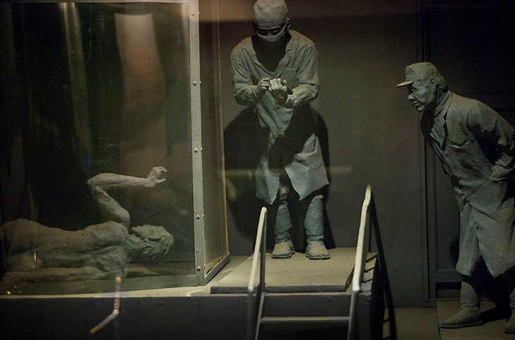 Nhật Bản dự đoán sẽ có khoảng hàng chục ngàn người Mỹ tử vòng vì dịch bệnh.