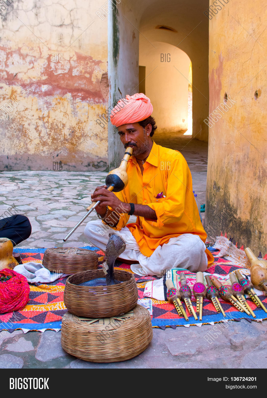 Đối với những người theo đạo Hindu ở Ấn Độ, rắn là loài vật được tôn thờ. Những người làm công việc thôi miên rắn được coi là tín đồ của Thần Shiva. Vị thần quyền năng này được mô tả có làn da màu xanh và thường có một con rắn hổ mang quấn quanh cổ.