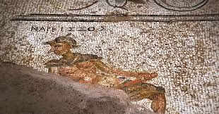 Việc làm này khiều người sử dụng sai cách như dùng nhầm đầu gậy có thể khiến vùng kín nhiễm trùng, trường hợp nặng nhất có thể tử vong.