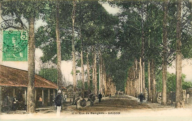 Trước khi mang tên đường Mạc Đĩnh Chi như hiện nay, dạo Pháp thuộc đường có tên đường số 10. Kể từ năm 1871, đường mang tên đường Bangkok. Đường có nhiều cây cổ thụ hai bên với giống cây được lấy từ Vườn Bách thảo (Thảo Cầm viên hiện nay). Từ năm 1955 đến nay đường mang tên như hiện tại.