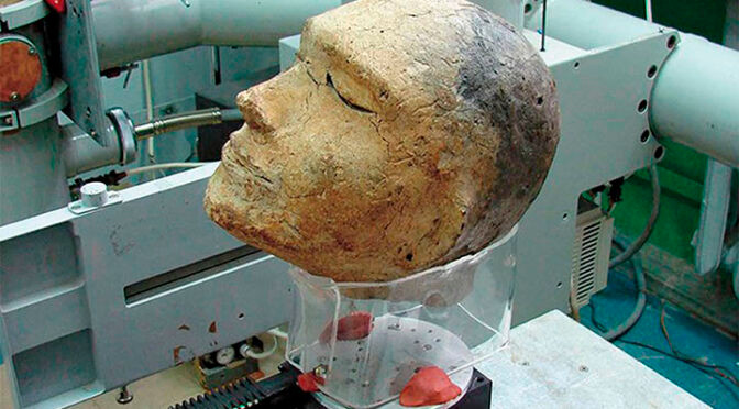 Một giả thuyết khác là người chiến binh từng phạm sai lầm khi còn sống. Để chiến binh này có một khởi đầu mới khi sang thế giới bên kia, người xưa thay thế hộp sọ của người lính bằng hộp sọ cừu - hiện vật thường được người cổ đại dùng trong thờ cúng.