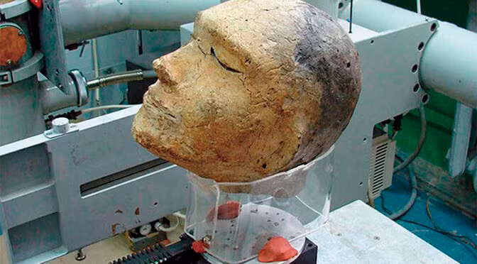 Một giả thuyết khác là người chiến binh từng phạm sai lầm khi còn sống. Để chiến binh này có một khởi đầu mới khi sang thế giới bên kia, người xưa thay thế hộp sọ của người lính bằng hộp sọ cừu - hiện vật thường được người cổ đại dùng trong thờ cúng.