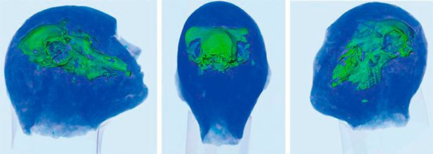 Nền văn minh Tagar tồn tại trong thời Đồ Đồng và phát triển ở Nam Siberia từ thế kỷ 8 đến thế kỷ 2 trước Công nguyên. Theo các chuyên gia, người Tagar có những nghi thức chôn cất phức tạp.