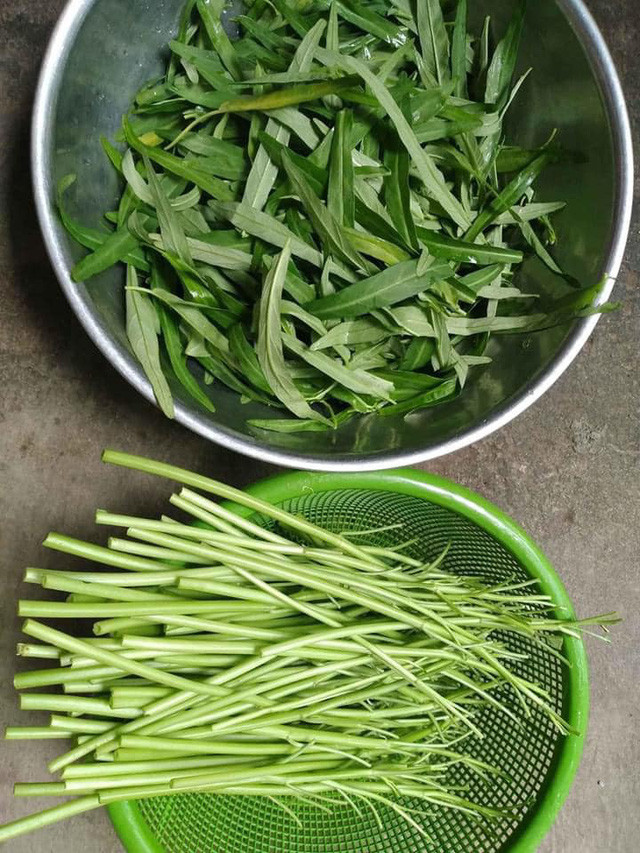 Nhặt rau phiên bản gọn gàng ( Nguồn ảnh: Trang Vu)