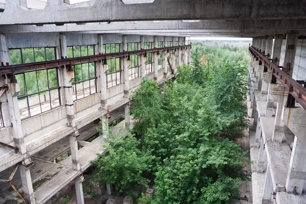 Bên trong một tòa nhà công nghiệp bị bỏ hoang phế nhiều năm ở vùng Voronezh.