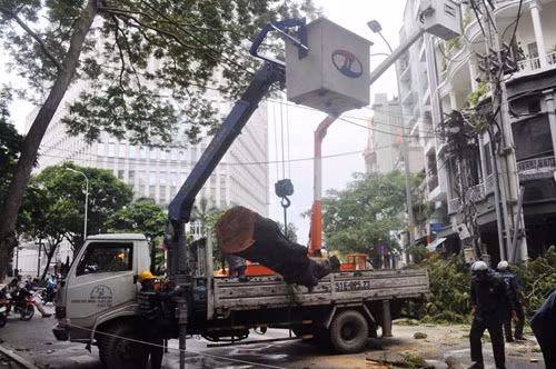 TP HCM: Mua bao lam cay xanh nga do, chap dien-Hinh-3