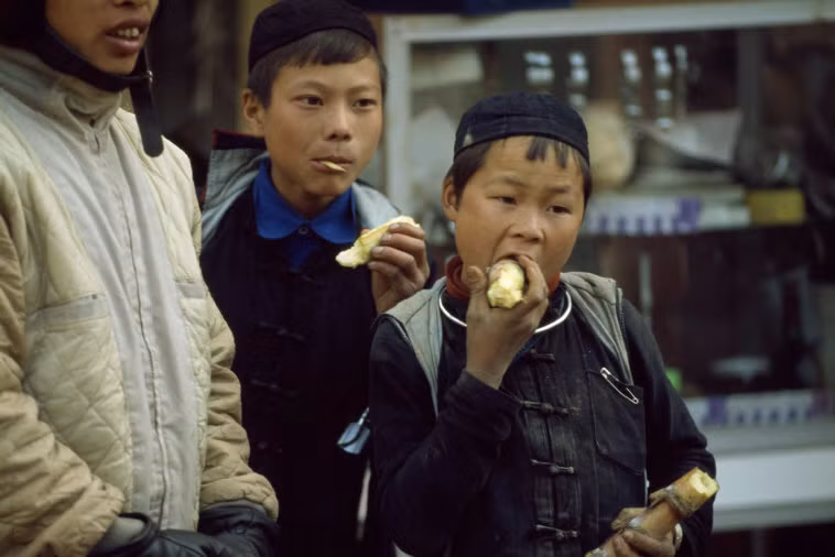 Các cậu bé H'Mông nhai mía. Ảnh: Hiroji Kubota/ Magnum Photos.