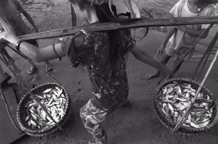 Người phụ nữ gánh cá vừa đánh bắt ra chợ quê bán. Ảnh: Ferdinando Scianna/ Magnum Photos.