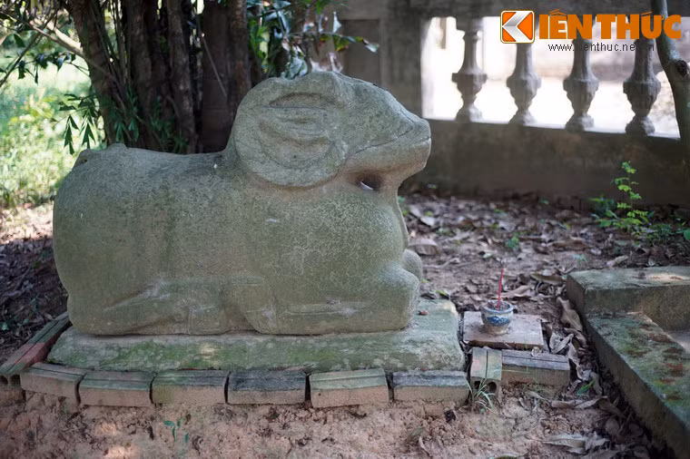 Trên thực tế, ở lăng Sĩ Nhiếp cách chùa Dâu không xa cũng có một con cừu đá cổ cùng kiểu dáng, chất liệu.