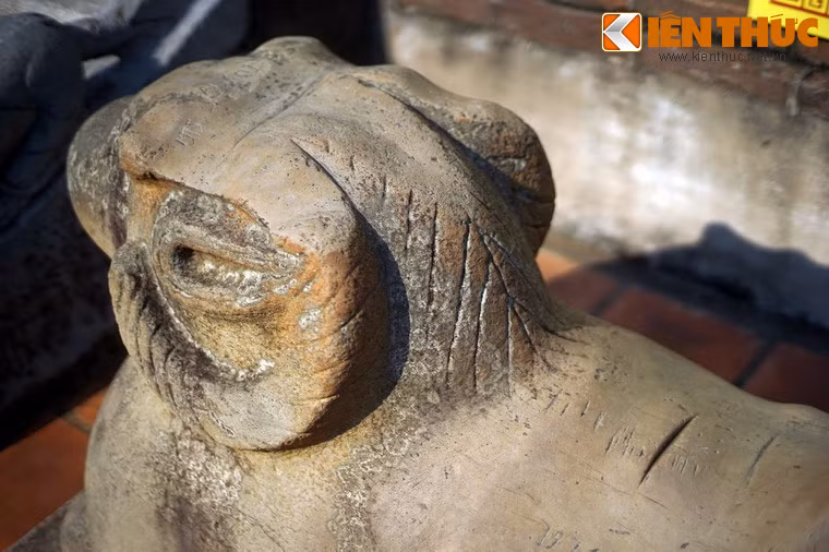 Theo một tích cổ, Sĩ Nhiếp (vị quan đô hộ lãnh thổ Việt thời Hán) có hai con cừu cưng. Khi ông mất cà hai con đi lạc, một đến chùa Dâu, một tìm được về lăng Sĩ Nhiếp.