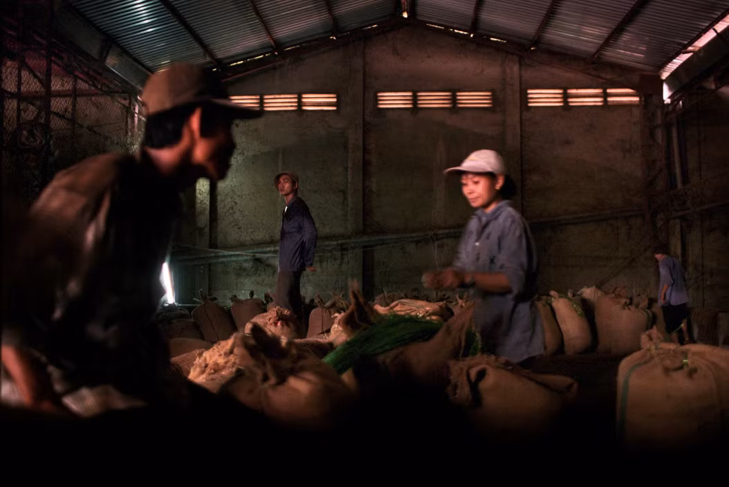 Bên trong nhà kho chứa cà phê sau thu hoạch. Ảnh: Christopher Anderson/ Magnum Photos.