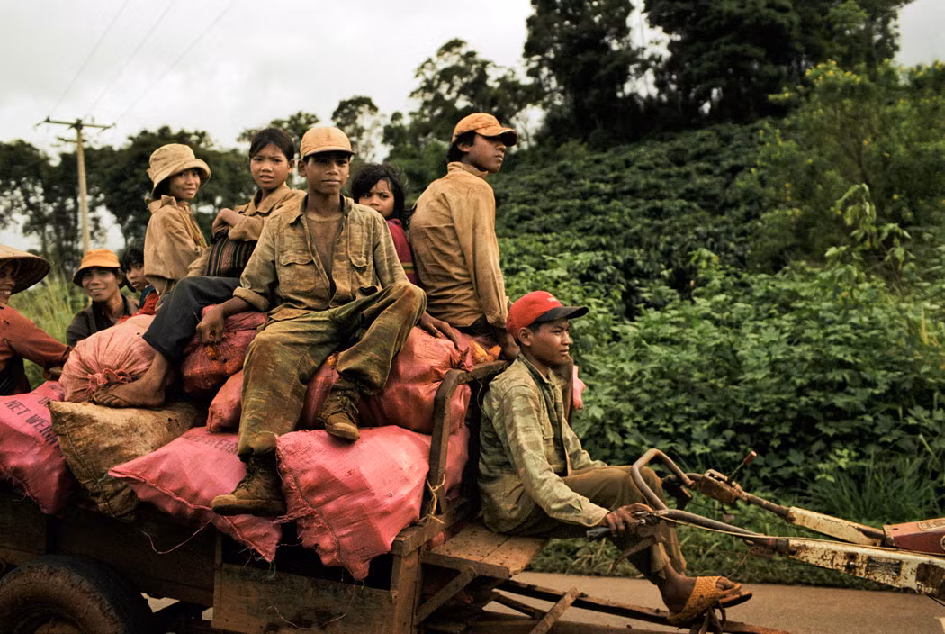 Đồng bào dân tộc thiểu số từ vườn cà phê trở về nhà bằng máy kéo. Ảnh: Christopher Anderson/ Magnum Photos.