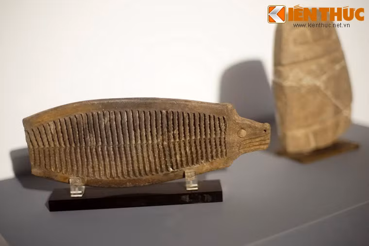 Bàn nạo hình cá bằng gốm của nền văn hóa Tumaco - La Tolica (thế kỷ 5 TCN đến thế kỷ 3 SCN, khu vực bờ Thái Bình Dương ở Nam Colombia và bắc Ecuador ngày nay).