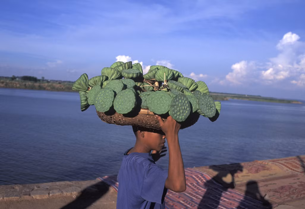 Một cậu bé bán đài sen bên bờ sông Mekong, Phnom Penh năm 1996. Ảnh: Hiroji Kubota/ Magnum Photos.