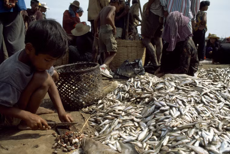 Chợ cá bên bến sông Mekong, Phnom Penh 1997. Ảnh: Hiroji Kubota/ Magnum Photos.