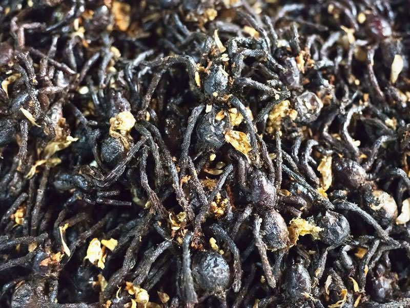 Nhện chiên giòn là món ăn hấp dẫn và được yêu thích tại Campuchia. Vỏ ngoài giòn tan với nhân bên trong béo ngậy, nếu bạn đủ can đảm, đừng bỏ qua món ăn kinh dị này.