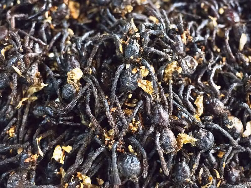 Nhện chiên giòn là món ăn hấp dẫn và được yêu thích tại Campuchia. Vỏ ngoài giòn tan với nhân bên trong béo ngậy, nếu bạn đủ can đảm, đừng bỏ qua món ăn kinh dị này.