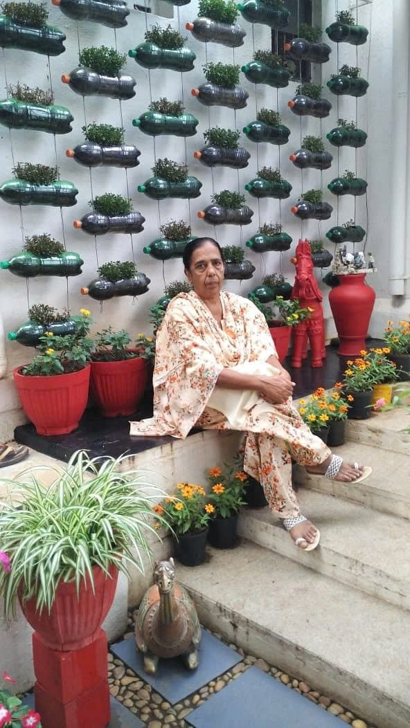 Tận dụng chai nhựa, giày cũ trồng cây có ngay khu vườn đẹp Tan dung chai nhua, giay cu trong cay co ngay khu vuon dep