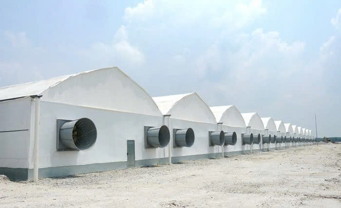 4 giải pháp thông gió giúp nhà thêm thông thoáng - Hình 2 4 giai phap thong gio giup nha them thong thoang-Hinh-2