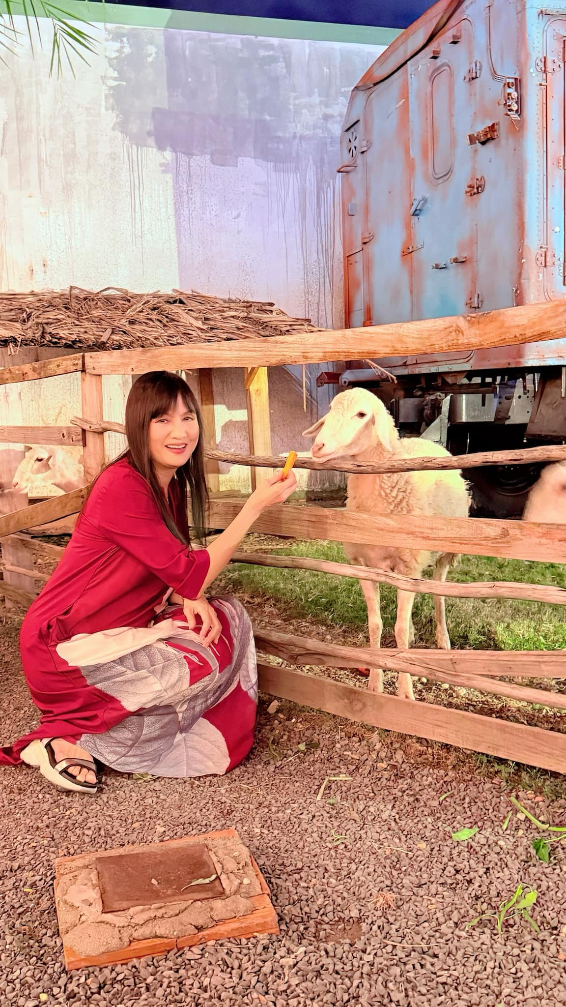 Người đẹp ảnh lịch Hiền Mai cho cừu ăn tại một khu du lịch. Ảnh: FB Hiền Mai