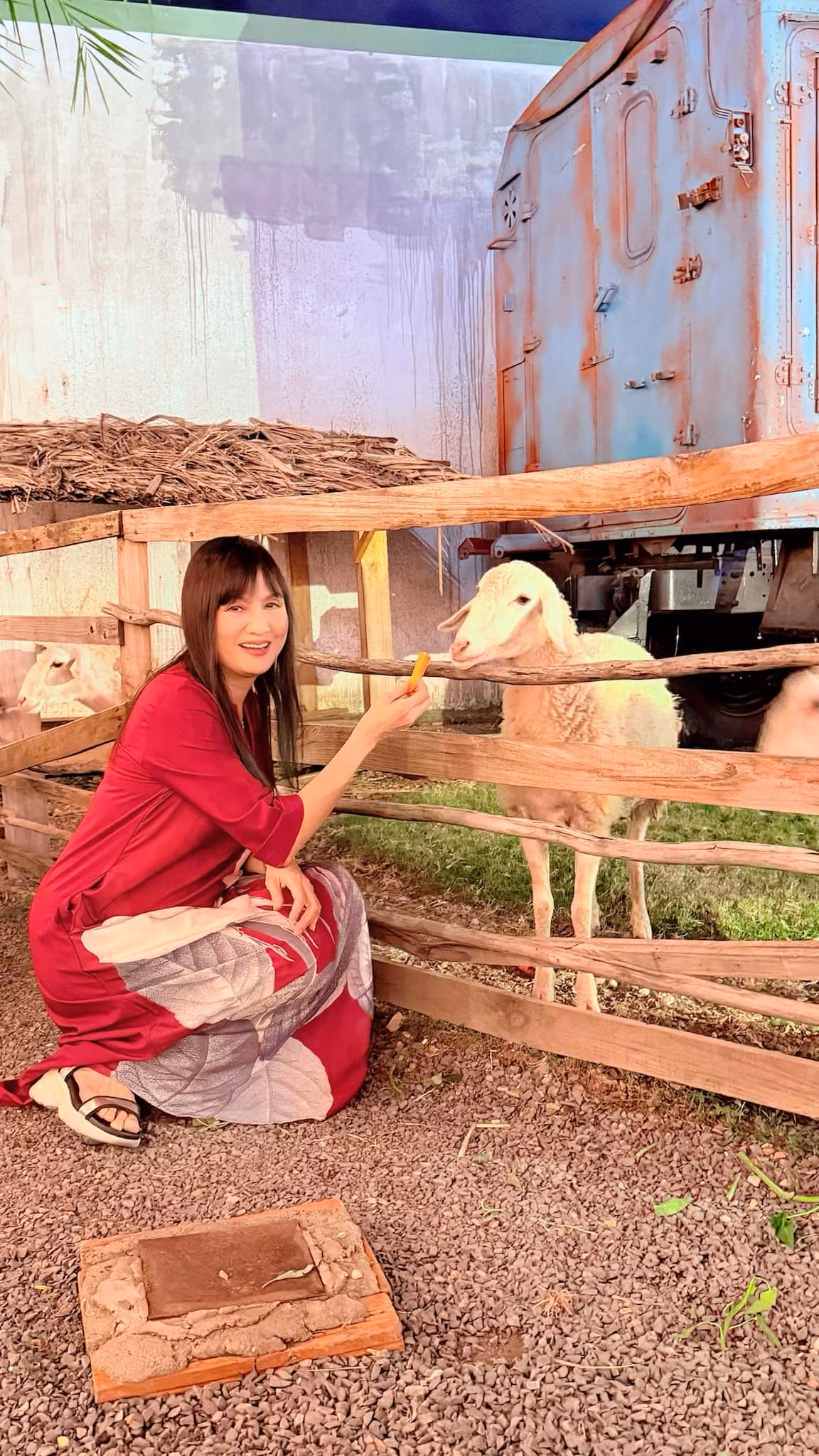 Người đẹp ảnh lịch Hiền Mai cho cừu ăn tại một khu du lịch. Ảnh: FB Hiền Mai