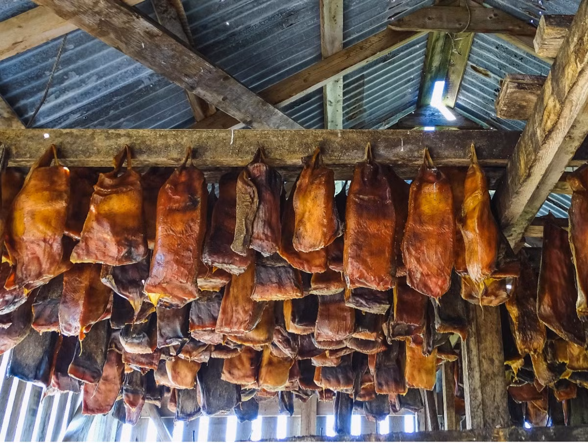 Sau thời gian này, cá mập sẽ được lấy lên và cắt thành từng miếng thích hợp sau đó đem hong khô tự nhiên. Ảnh: Culture Trip