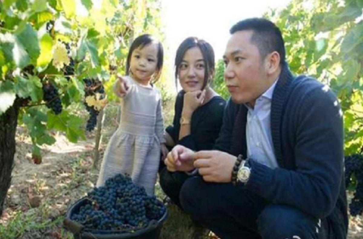 Mặc dù cố gắng giữ gìn hình ảnh gia đình hạnh phúc, nhưng từ năm 2019, đã có nhiều tin đồn cho rằng mối quan hệ giữa Triệu Vy và Huỳnh Hữu Long gặp trục trặc. Ảnh: Weibo