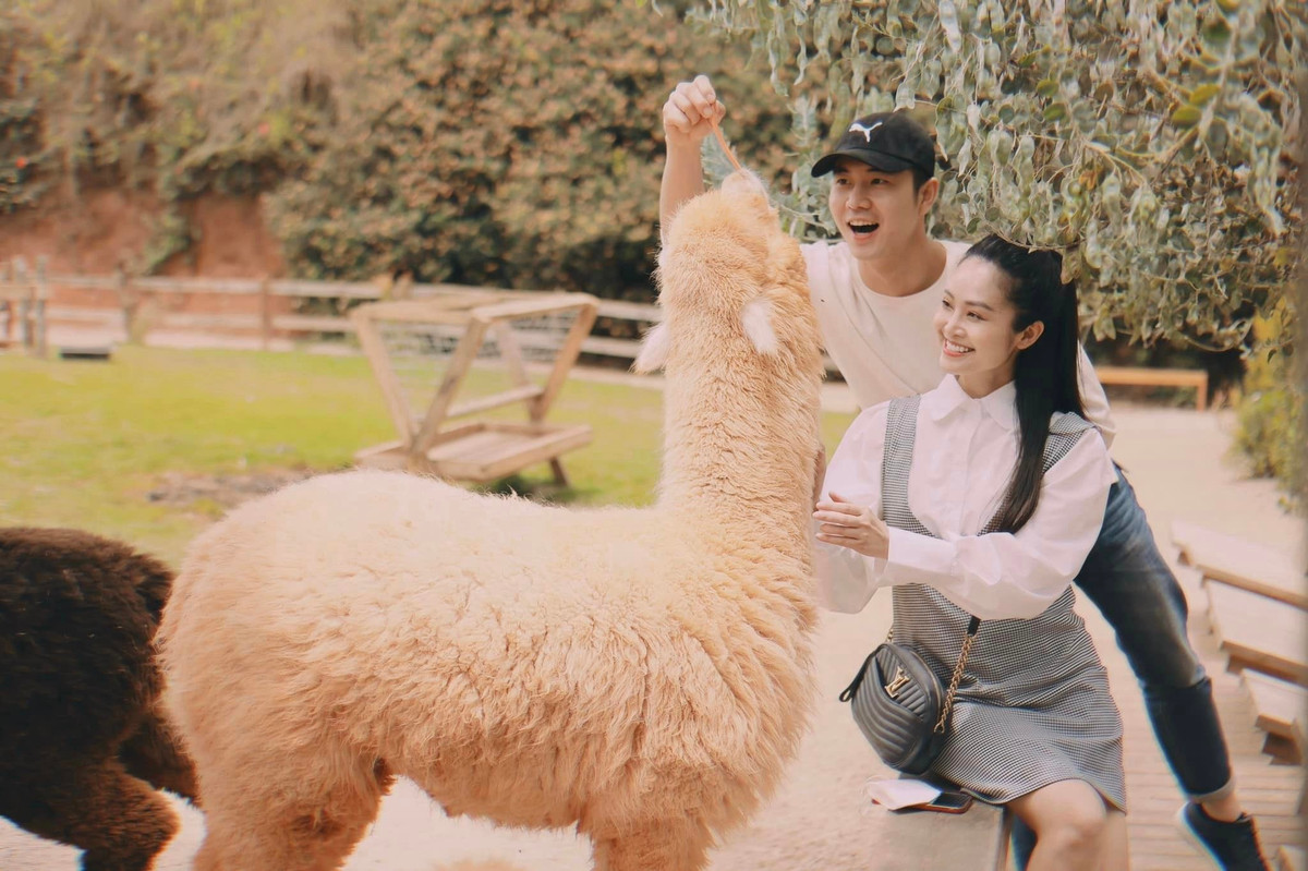 Tháng 1/2021, sau một thời gian tìm hiểu, MC Thùy Linh và Đức Hiếu đã về chung nhà.