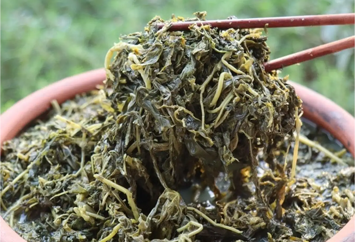 Rau sắn là loại rau đặc sản ở Phú Thọ. Sau khi được muối cẩn thận, rau ngả màu vàng và có vị chua thì đem đi nấu. Lá rau sắn có thể được nấu thành nhiều món ngon khác nhau như: sắn luộc, sắn nấu canh hến, sắn nấu canh đầu cá, các loại bánh sắn, lá sắn xào với thịt lợn, lá sắn muối kho tép… đều hấp dẫn. Ảnh: Vietnamnet