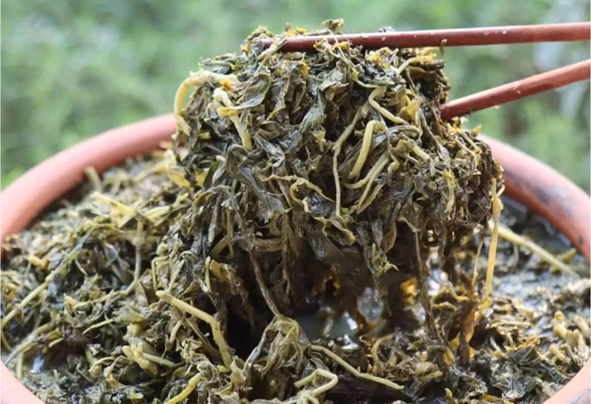 Rau sắn là loại rau đặc sản ở Phú Thọ. Sau khi được muối cẩn thận, rau ngả màu vàng và có vị chua thì đem đi nấu. Lá rau sắn có thể được nấu thành nhiều món ngon khác nhau như: sắn luộc, sắn nấu canh hến, sắn nấu canh đầu cá, các loại bánh sắn, lá sắn xào với thịt lợn, lá sắn muối kho tép… đều hấp dẫn. Ảnh: Vietnamnet