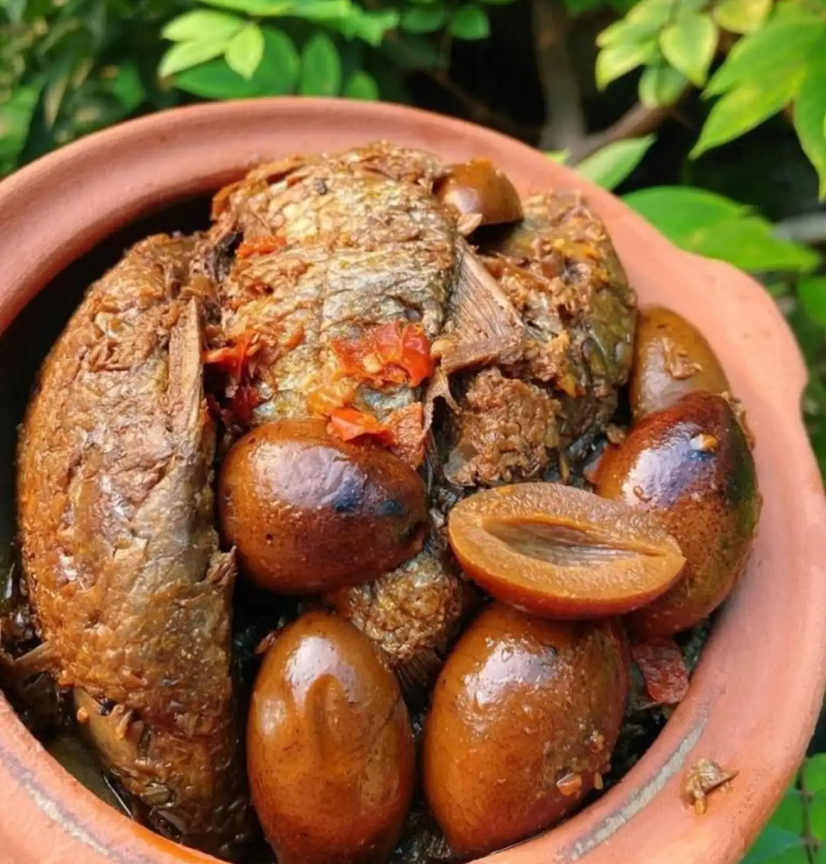 Trám là một loại quả đặc trưng của vùng Phú Thọ, từ loại quả này người dân chế biến món trám om cá vô cùng hấp dẫn. Trám om cá chính là món ăn tiêu biểu cho nét đẹp ẩm thực của người dân Phú Thọ. Từ những trái trám chua chát, qua bàn tay chế biến khéo léo, nó đã trở thành một món ăn vô cùng đặc biệt. Ảnh: @Cò Trắng