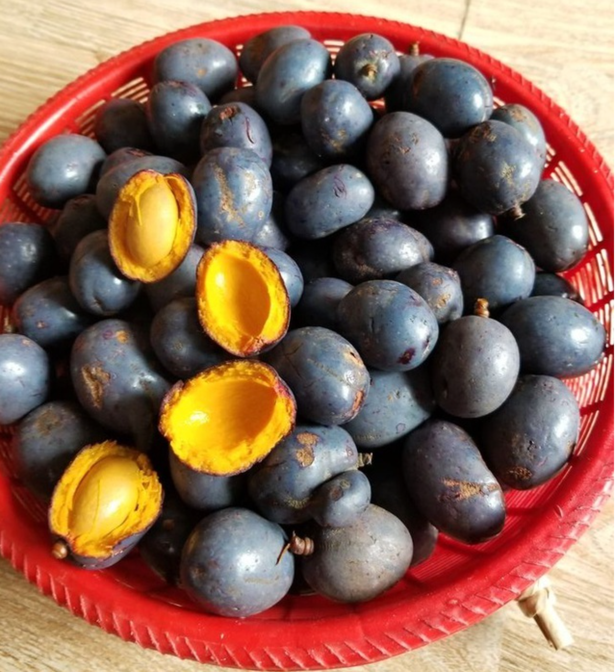 Cọ ỏm là loại quả được chế biến và trở thành một trong những món ăn ngon ở Phú Thọ. Món ăn chế biến từ quả cọ thường được om với thịt ba chỉ, mẻ, riềng, ớt... tạo nên hương vị chua chát, mặn mặn, béo ngậy. Ảnh: Internet