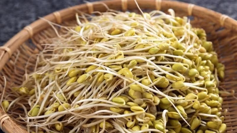  Lá, mầm: Giá đỗ sạch thường có 2 hạt mầm to và lá non màu xanh hoặc vàng. Còn giá đỗ ngâm hóa chất thường không có lá hoặc có 2 hạt ngậm chặt với nhau. Ảnh Internet