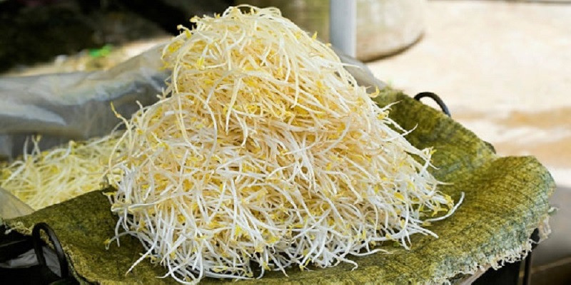  Mùi vị: Giá đỗ được ủ cho nảy mầm từ hạt đậu xanh nên thường có mùi thơm tự nhiên của đậu tươi. Trong trường hợp giá đỗ được phun thuốc hóa học thì sẽ có mùi lạ, hơi hăng, có mùi rất khó chịu. Thậm chí còn không ngửi thấy được mùi đậu tươi do bị phun thuốc quá nặng. Ảnh Internet