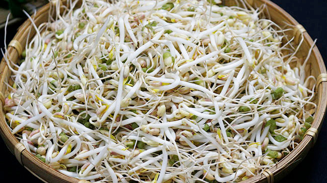  Phân biệt hình dạng: Giá đỗ ngâm hóa chất thường có thân rất mập, to tròn, đều đặn đẹp mắt, nhưng rất giòn và dễ bị đứt gãy. Giá đỗ sạch có hình dạng “gầy” hơn, không bắt mắt bằng, những thân cây giá cứng hơn, khó đứt gãy. Ảnh Internet